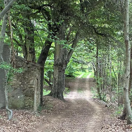 Cascina Fogona בית הארחה Altare